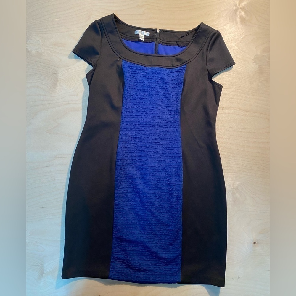 London Style Collection Petites Dress 16P (GK)